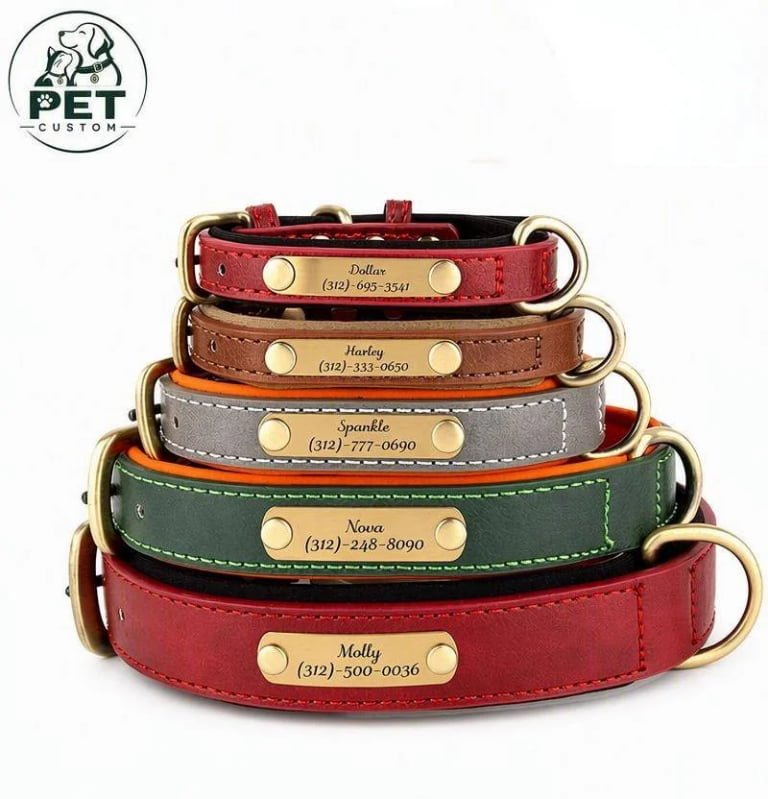 Custom Leather Collars