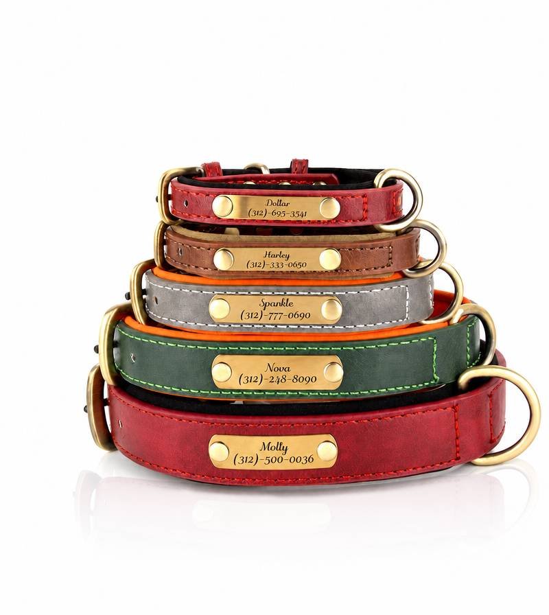 Custom leather dog collar with embossed logo