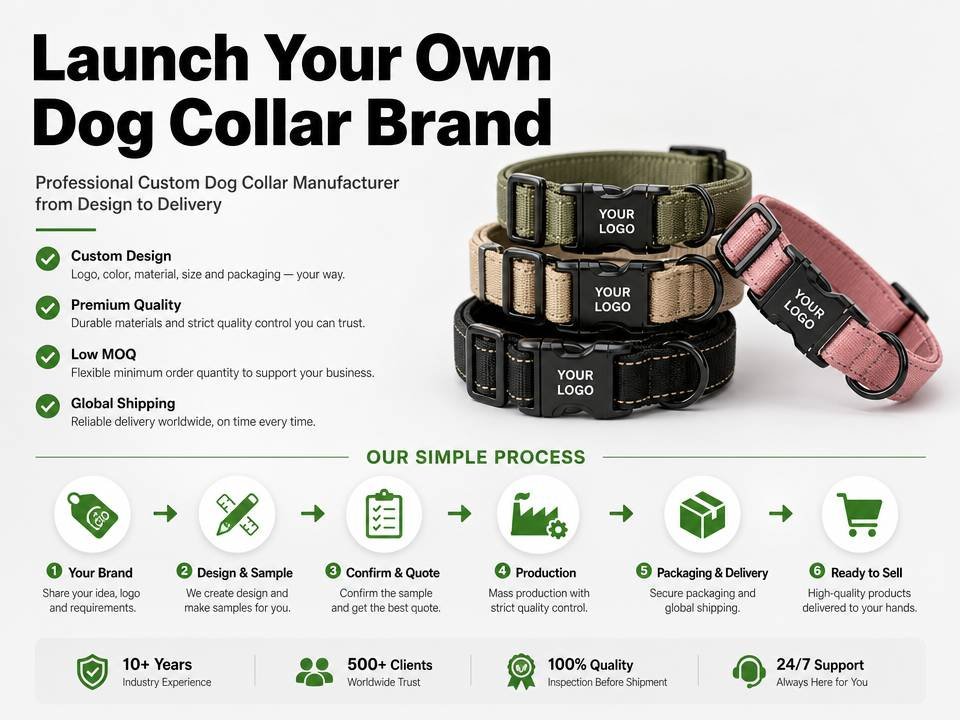 A branded dog collar collection with custom logo, hang tag, and packaging box ready for retail
