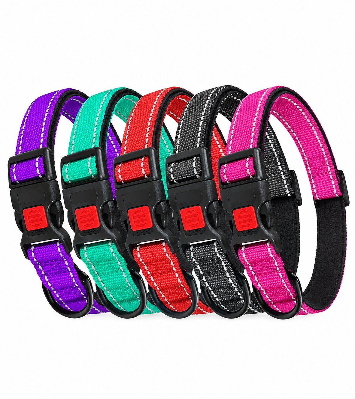 Custom nylon dog collar in brand colors