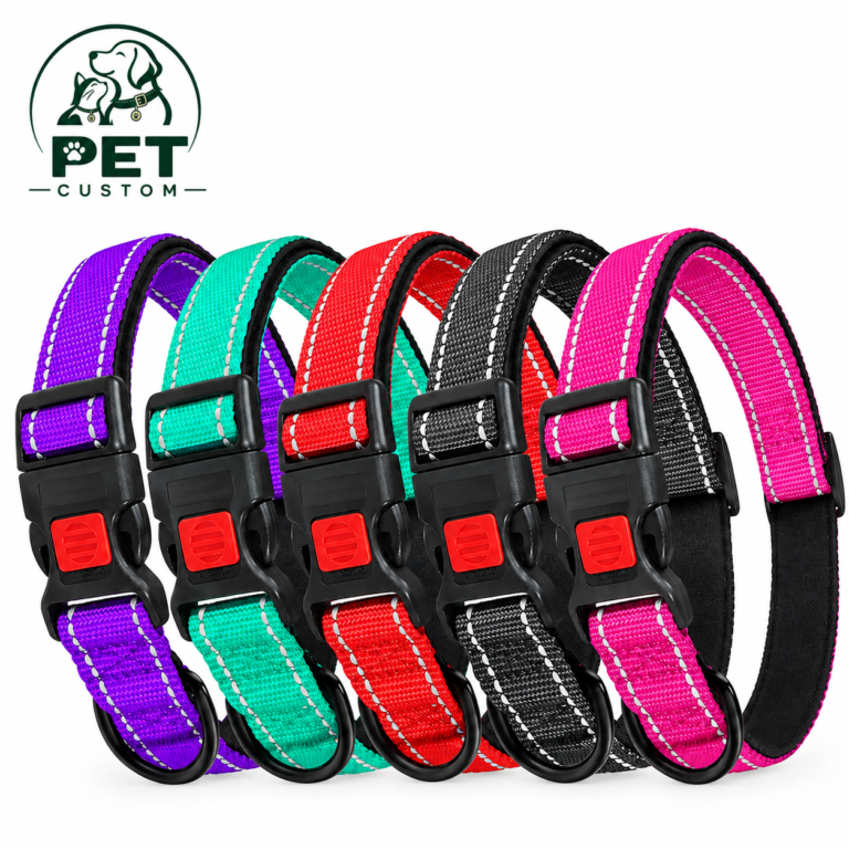 Custom Nylon Collars